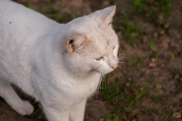 How Digital Connectivity is Reshaping Real Estate Values in the UK's Remote Areas;156Transforming Suburbs: The Impact of Remote Work on Future Real Estate Markets;156Unlocking Blockchain's Potential: Transforming Real Estate Deals with Unmatched Ef